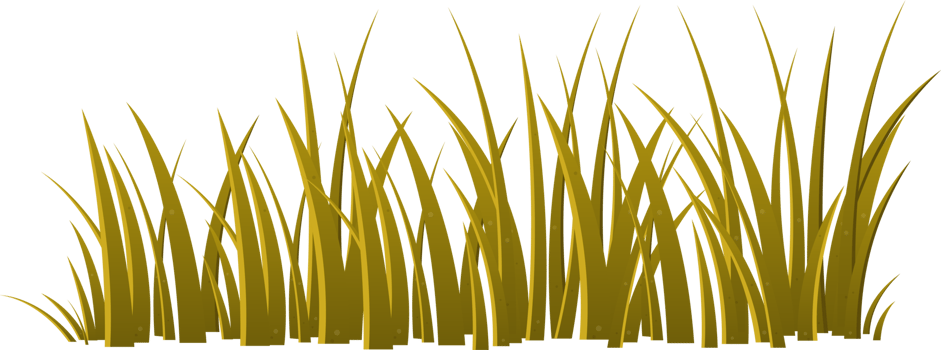 Cartoon grass leaves clip art png