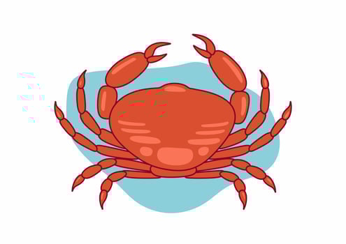 Hand drawn flat design crawfish illustration. Cancer animal Isolated on white background. vector