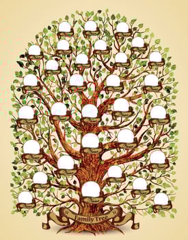Family Tree template vector illustration