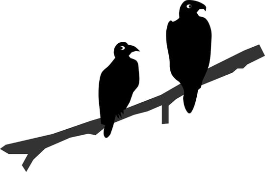 Black crows on branch tree vector illustration. Halloween animals decoration.