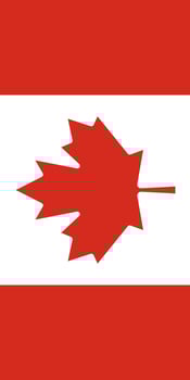 Hanging vertical flag vector