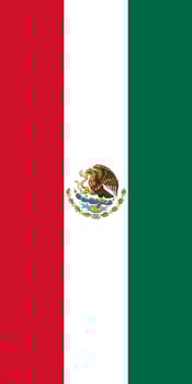 Hanging vertical flag vector