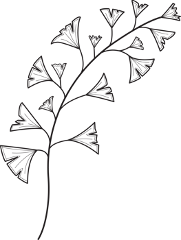 Hand drawn curly grass and flowers png