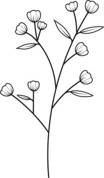 Hand drawn curly grass and flowers png