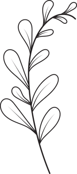 Hand drawn curly grass and flowers png