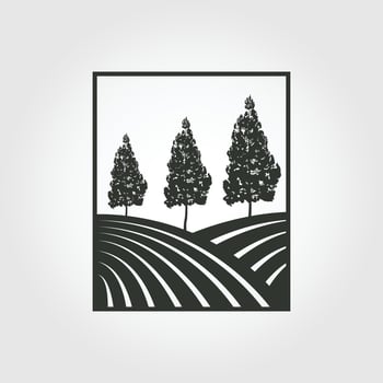 pine tree with badge vector vintage illustration design, pine trees logo