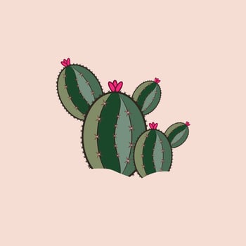green natural cactus plant set of desert among sand and rocks. Realistic vector illustration isolated on background elements.