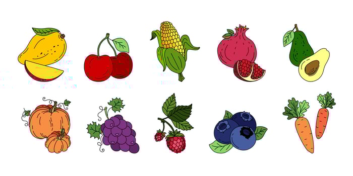 Exotic fruit set doodle Vector color illustration isolated on white background