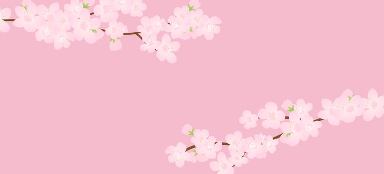 Pink Cherry blossom,Vector Illustration. Vector background