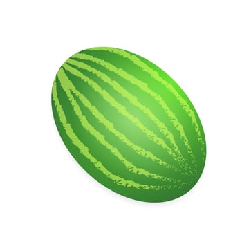 Watermelon isolated on white background. Vector illustration