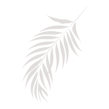 Background of tropical plant leaves in light gray png