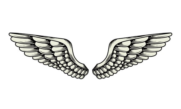 Vector yellow angel wings illustration design