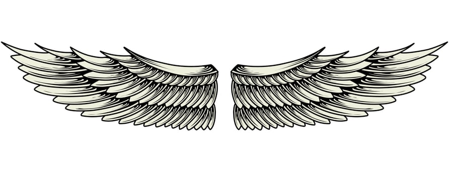 Vector yellow angel wings illustration design