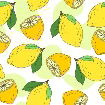 Lemon Pattern seamless on white background Vector Illustration