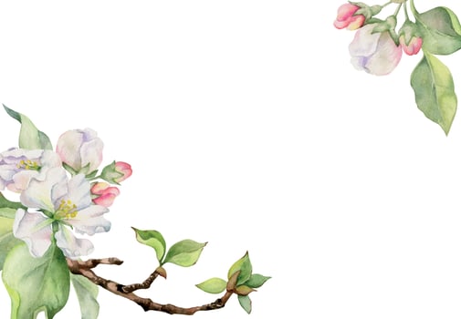Hand drawn watercolor apple blossom, white and pink flowers with green leaves. Square frame composition. Isolated object on white background. Design for wall art, wedding, print, fabric, cover, card. vector