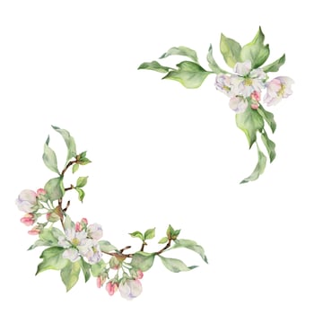 Hand drawn watercolor apple blossom, white and pink flowers with green leaves. Square frame composition. Isolated object on white background. Design for wall art, wedding, print, fabric, cover, card. vector