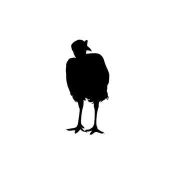 Turkey Silhouette for Art Illustration, Pictogram or Graphic Design Element. The Turkey is a large bird in the genus Meleagris. Vector Illustration