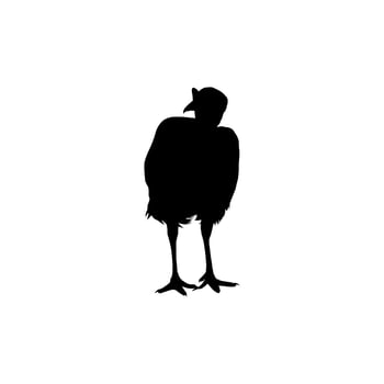 Turkey Silhouette for Art Illustration, Pictogram or Graphic Design Element. The Turkey is a large bird in the genus Meleagris. Vector Illustration