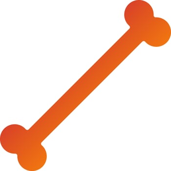 Bone Icon Style vector