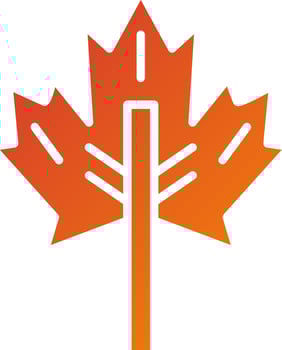 aple Leaf Icon Style vector