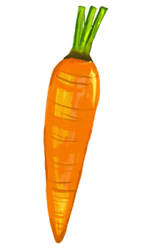 Watercolor and drawing for fresh Carrot. Digital painting of fruits and vegetables illustration. Regional Foods Concept. png