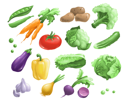 Vegetable set. Digital illustration png