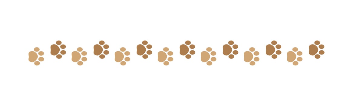 Cute pets, dog or cat footprints separator divider border. Simple paw print pattern, animal track walking vector illustration design element.
