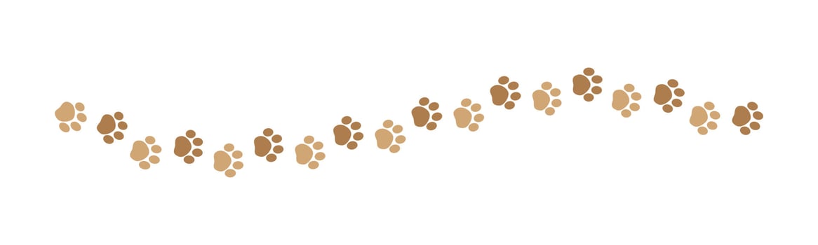 Cute pets, dog or cat footprints separator divider border. Simple paw print pattern, animal track walking vector illustration design element.