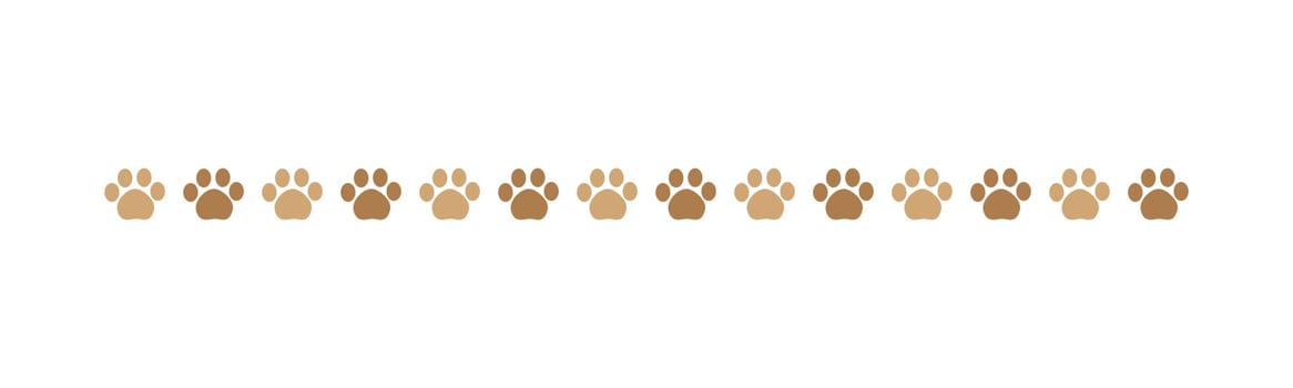 Cute pets, dog or cat footprints separator divider border. Simple paw print pattern, animal track walking vector illustration design element.