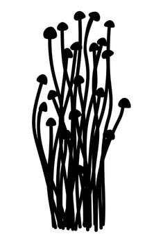 Vector isolated illustration of enoki mushrooms. Monochrome silhouette.