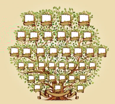 Family Tree template vector illustration