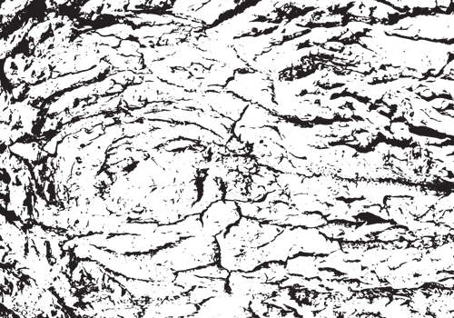 Rustic grunge texture with grain and stains. Abstract noise background. PNG graphic illustration with transparent background.