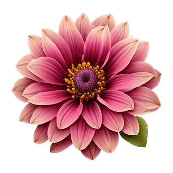 Beautifull Pink Flowers With Green Leaves png