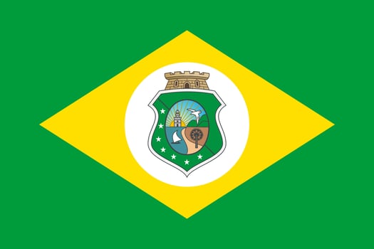Simple flag state of Brazil vector