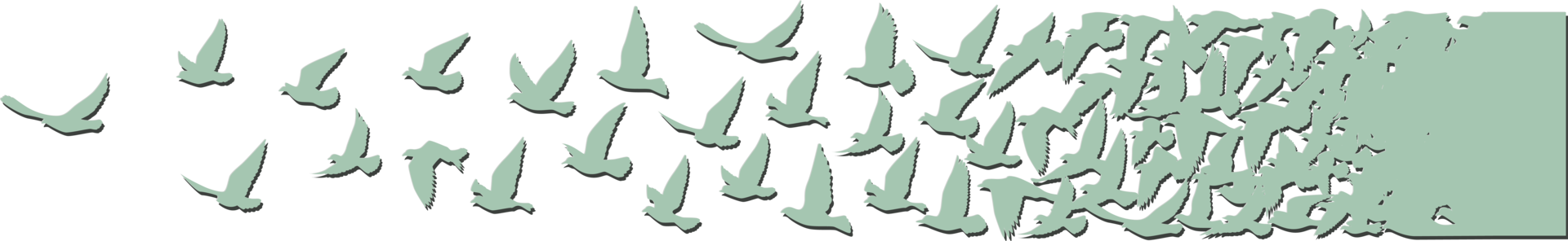 Flying birds silhouettes pattern wallpaper. PNG transparent. isolated bird flying. tattoo design. template for card, package, and wallpaper.