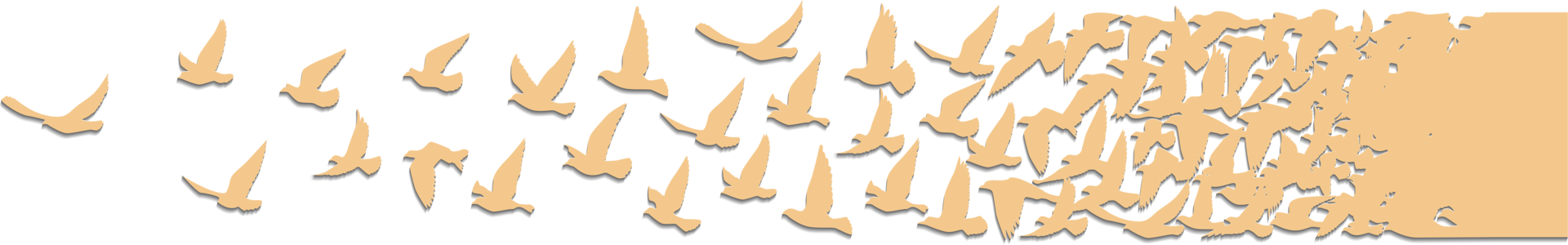 Flying birds silhouettes pattern wallpaper. PNG transparent. isolated bird flying. tattoo design. template for card, package, and wallpaper.
