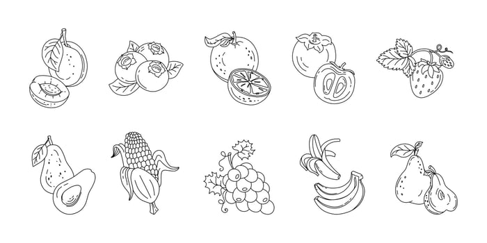 Fruits and berries doodle set Vector black and white illustration isolated on a white background
