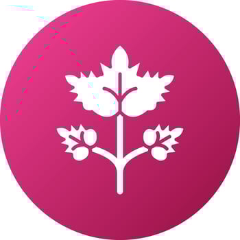 Coriander Icon Style vector