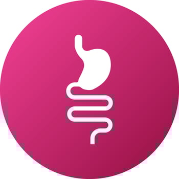 Healthy Guts Icon Style vector
