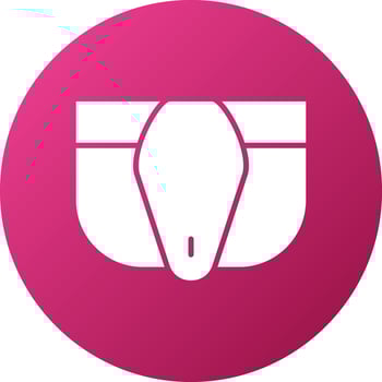 Jockstrap Icon Style vector