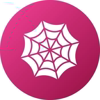 Spiderweb Icon Style vector