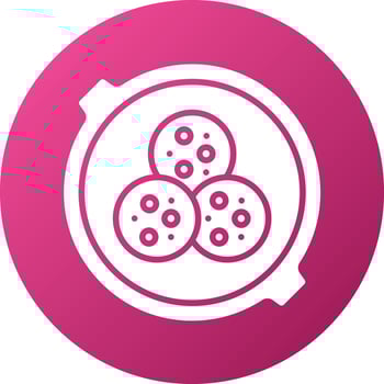 Falafel Icon Style vector