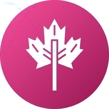 aple Leaf Icon Style vector