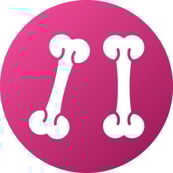 Bones Icon Style vector