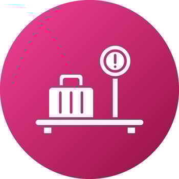 Excess Baggage Icon Style vector