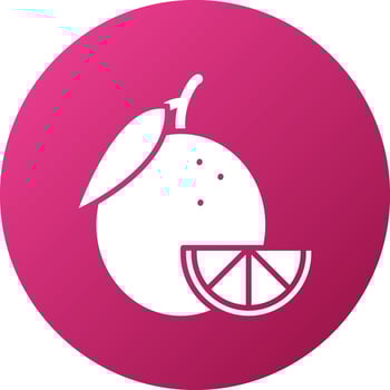 Orange Icon Style vector