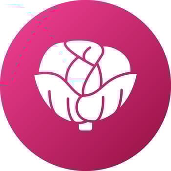 Brussels Icon Style vector