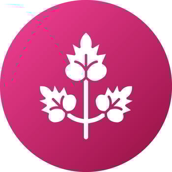 Coriander Icon Style vector