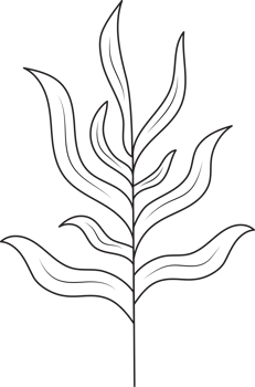 Hand drawn curly grass and flowers. png