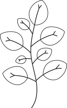 Hand drawn curly grass and flowers. png